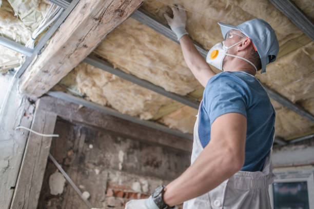 Best Insulation Materials and Products in Badger, AK