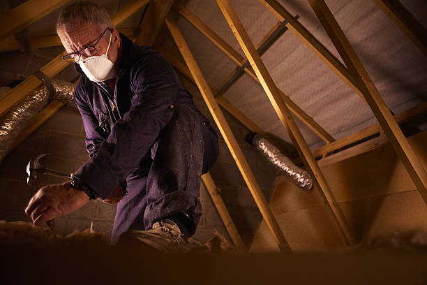 Best Insulation Maintenance and Repair in Badger, AK